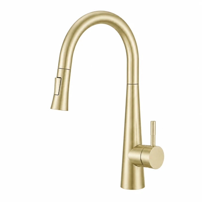 Regio Pull-Out Kitchen Mixer Tap