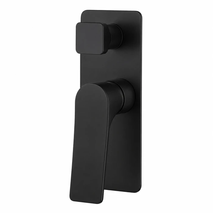 Regio Cacey Series Wall Mixer with Diverter